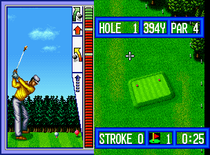 Top Player's Golf